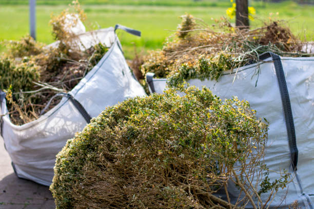 Best Electronics Removal Services  in Ninety Six, SC