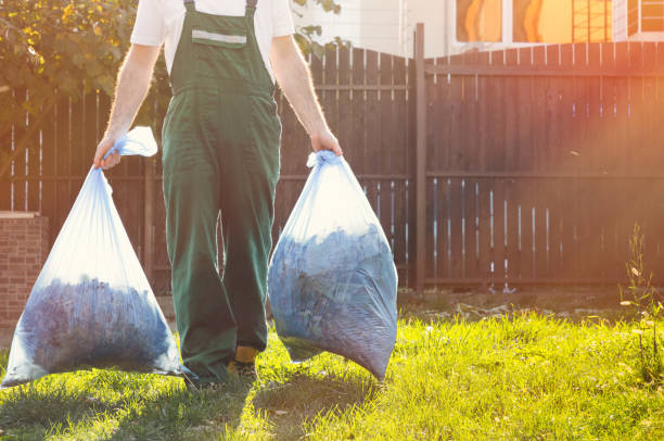 Best Junk Hauling Services  in Ninety Six, SC