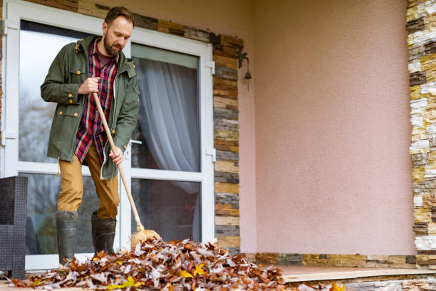 Best Yard Cleanup Services  in Ninety Six, SC